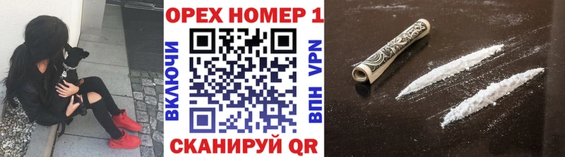 даркнет наркотические препараты  Балей  COCAIN Эквадор 