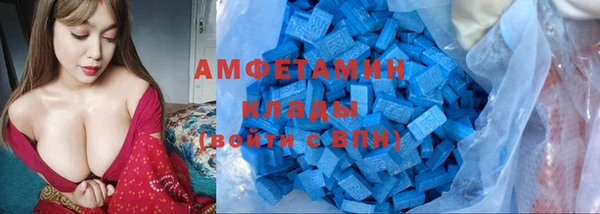 спиды Аркадак