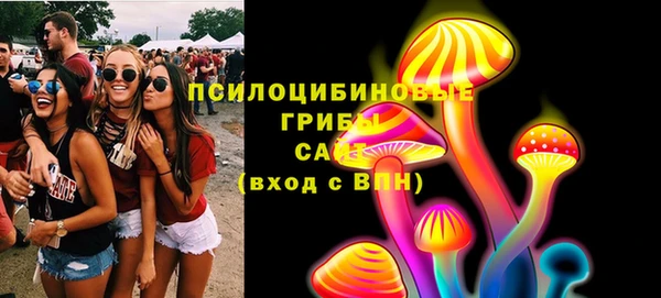 спиды Аркадак