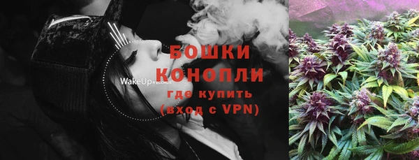 стаф Бердск